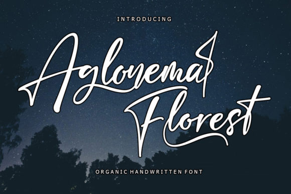 Aglonema Florest Font Review