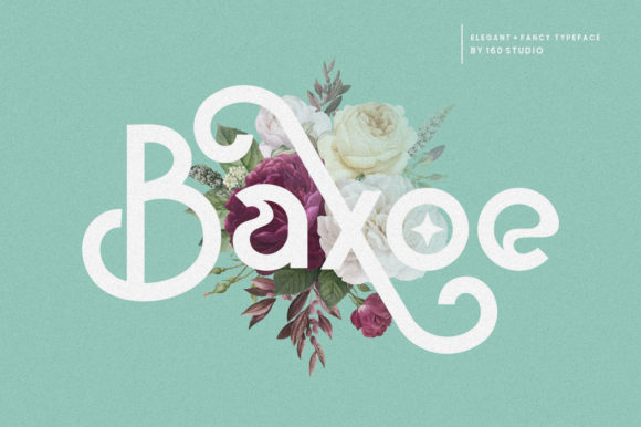 Baxoe Font: Modern Typography for Web Design