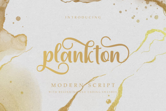 Plankton Font for Elegant Branding