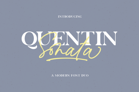 Quentin Sonata: A Font for Polished Branding